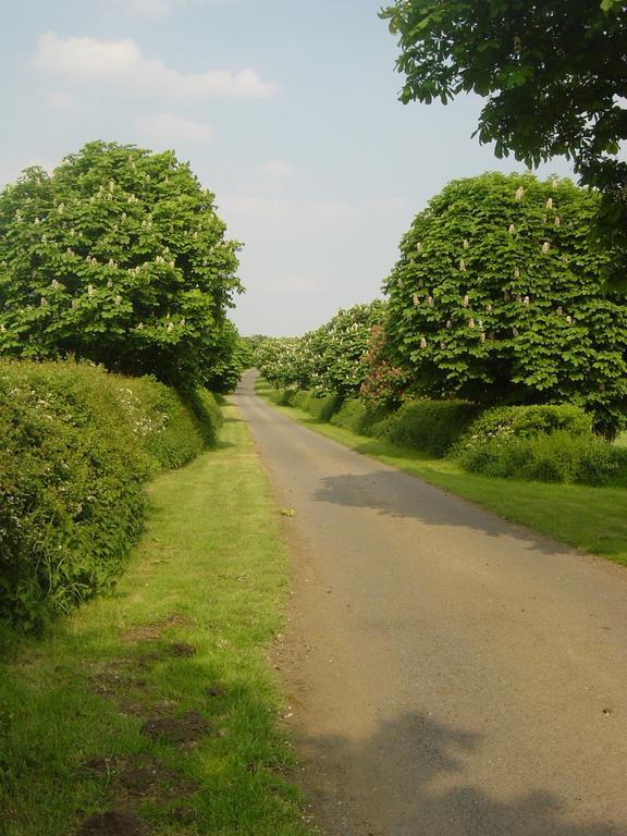Furtho Manor Farm Bed and Breakfast Milton Keynes Buitenkant foto